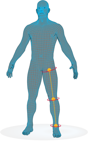 Axiometrics-Man-Graphic