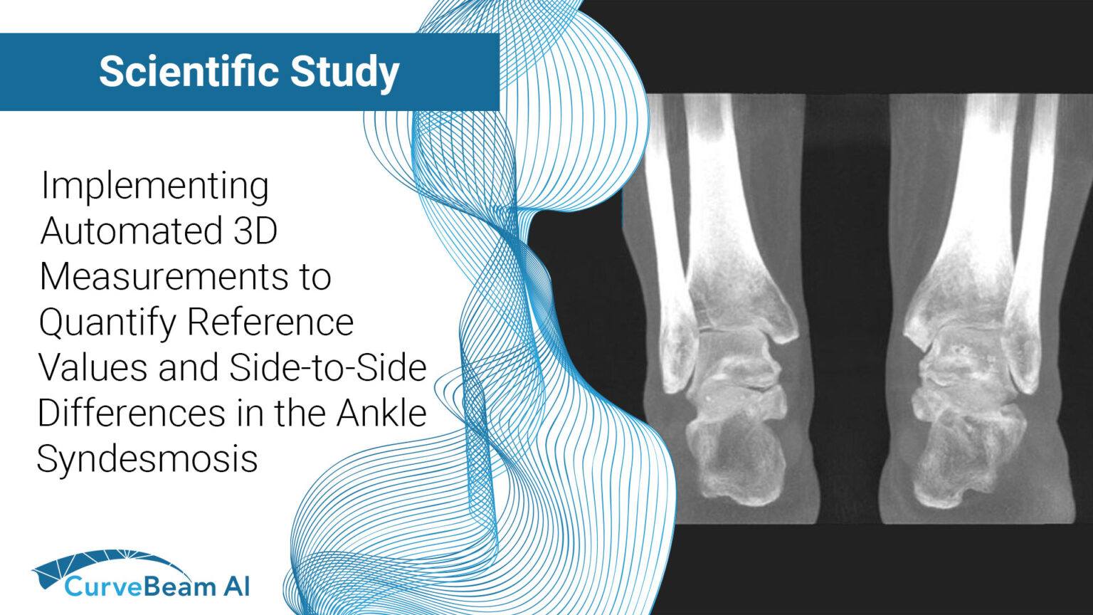 Visual Reference: Implementing Automated 3D Measurements To Quantify Reference Values And