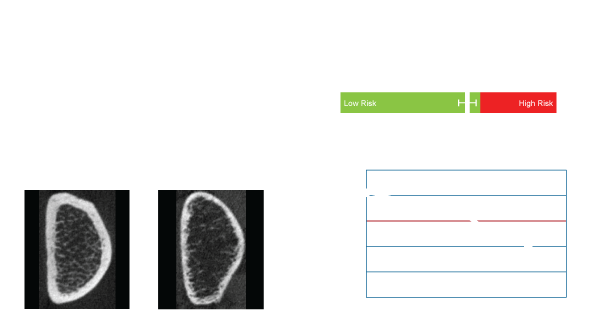 ExampleOssviewPatientSheet2024White