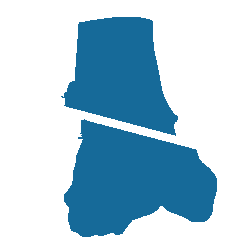 OsteotomyIconBlue